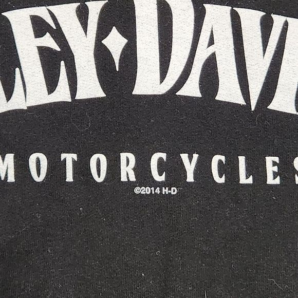 Harley Davidson Motorcycles Mens XL Bristol Connecticut CT Hoodie Sweatshirt - Picture 6 of 16